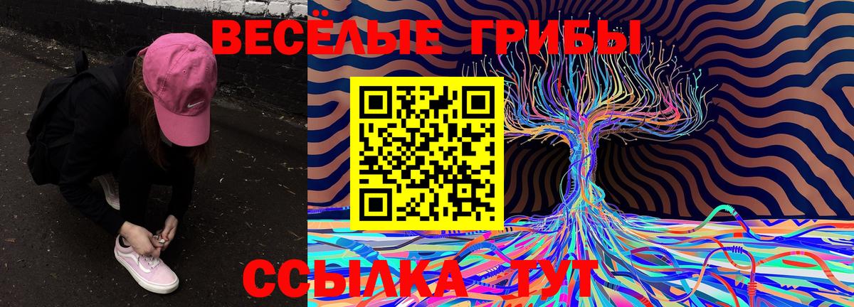 Галлюциногенные грибы Psilocybe Буйнакск